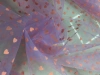 The heart gauze fabric manufacturer offers direct sales of the current season's new products. Wholesale and retail are available details Picture